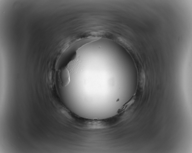 X0000086230428200704121919