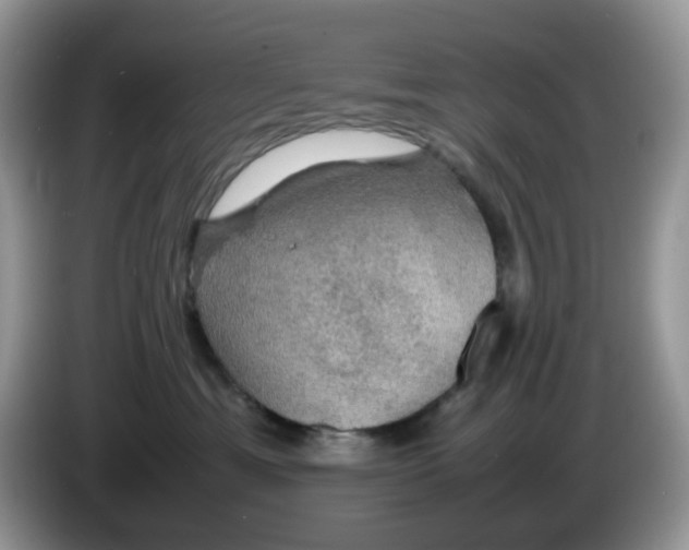 X0000086230429200704121919