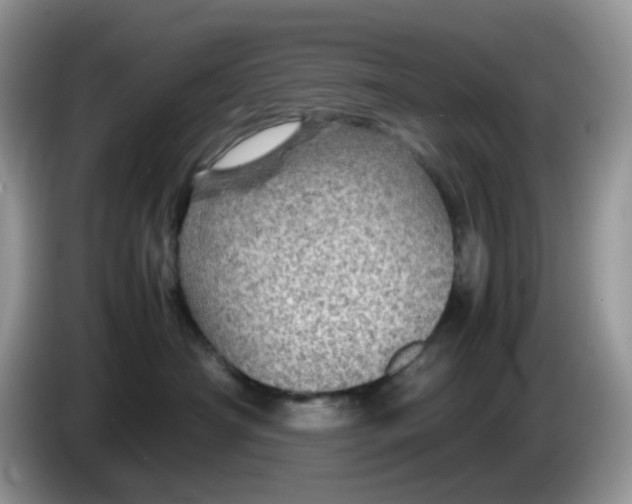 X0000086230430200704121919