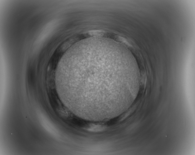 X0000086230431200704121919