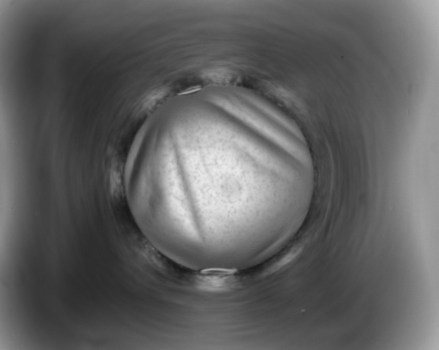 X0000086230432200704121919