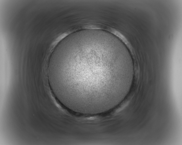 X0000086230433200704121918