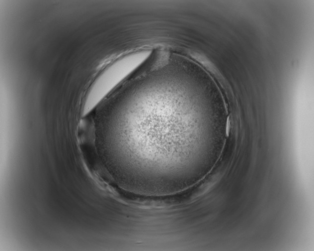 X0000086230434200704121918