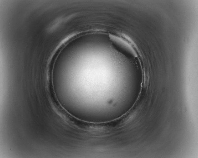 X0000086230435200704121918