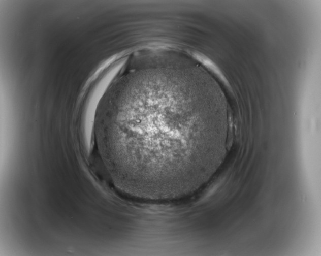 X0000086230436200704121918