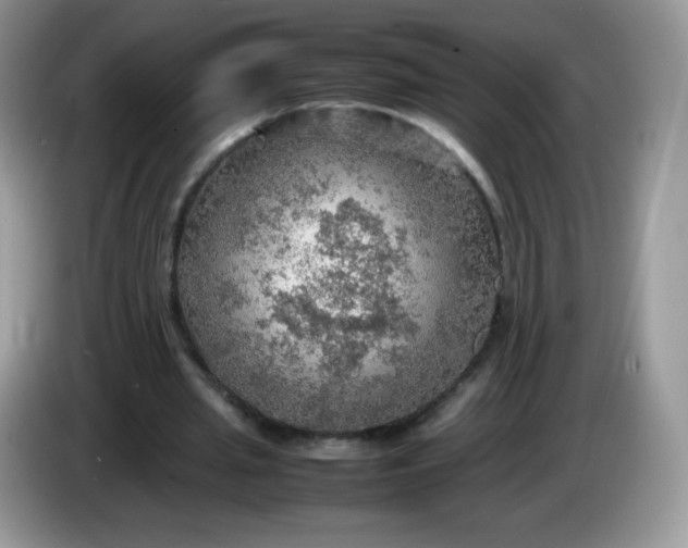 X0000086230437200704121918