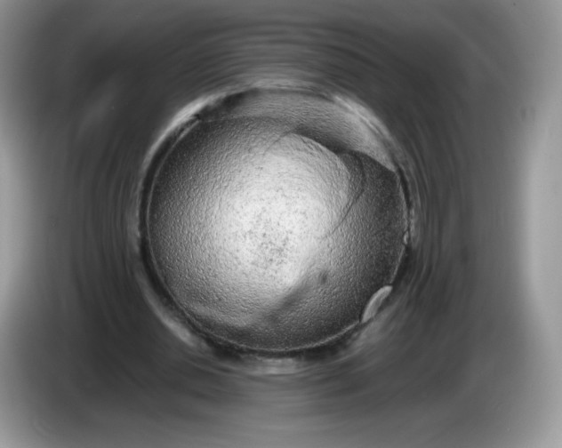 X0000086230438200704121918