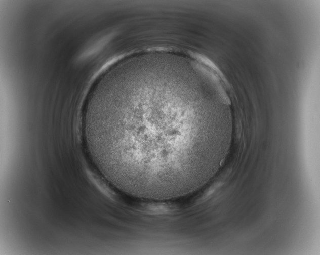 X0000086230439200704121918