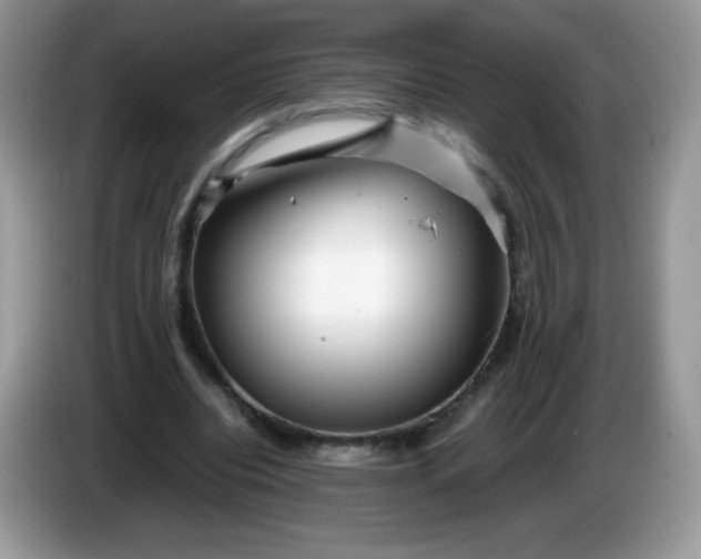 X0000086230440200704121918