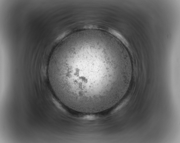 X0000086230441200704121918