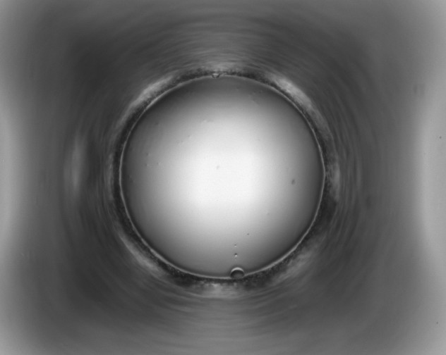 X0000086230442200704121918