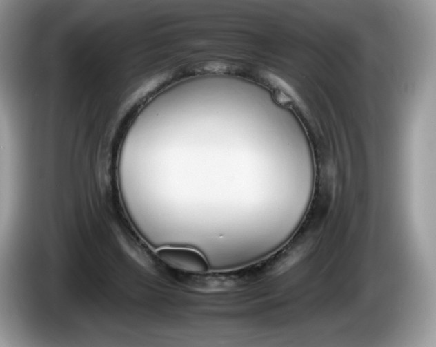 X0000086230443200704121918