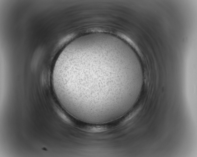 X0000086230445200704121918