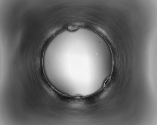 X0000086230447200704121918