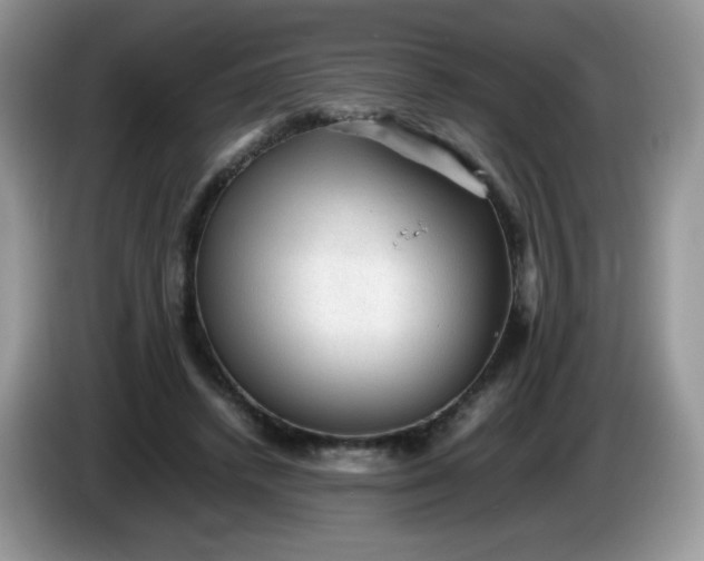 X0000086230448200704121918