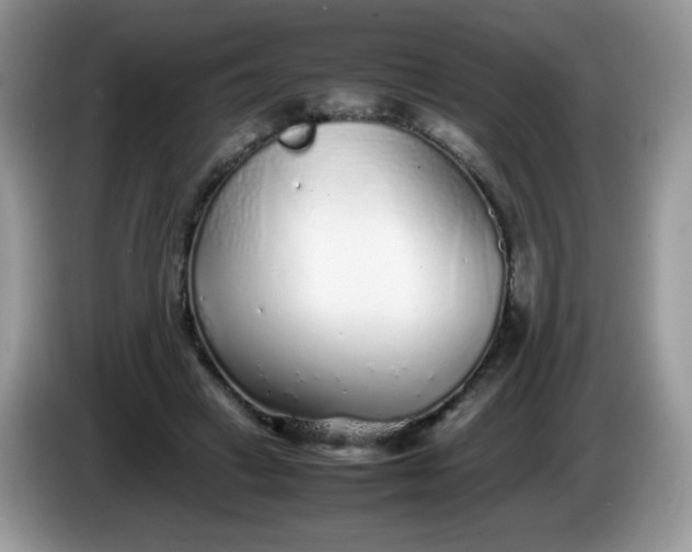 X0000086230449200704121918