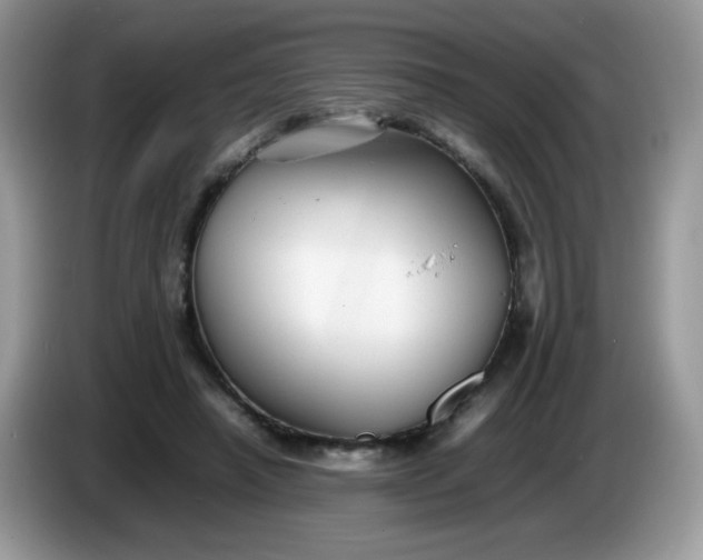 X0000086230450200704121918