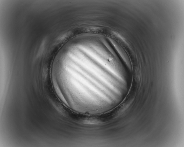 X0000086230451200704121918