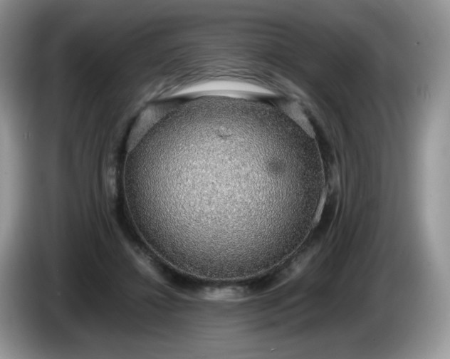 X0000086230452200704121918