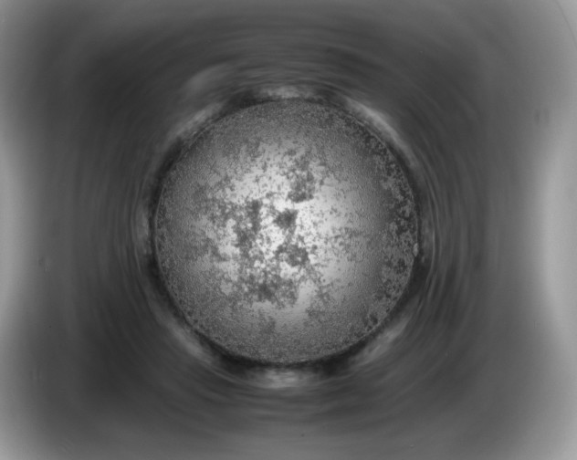 X0000086230453200704121918