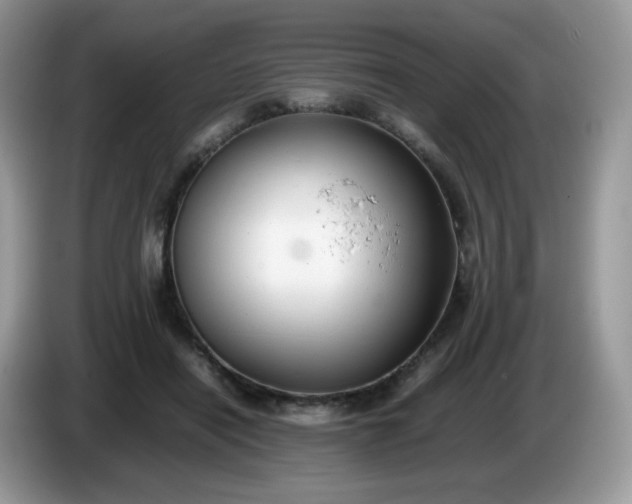 X0000086230454200704121918