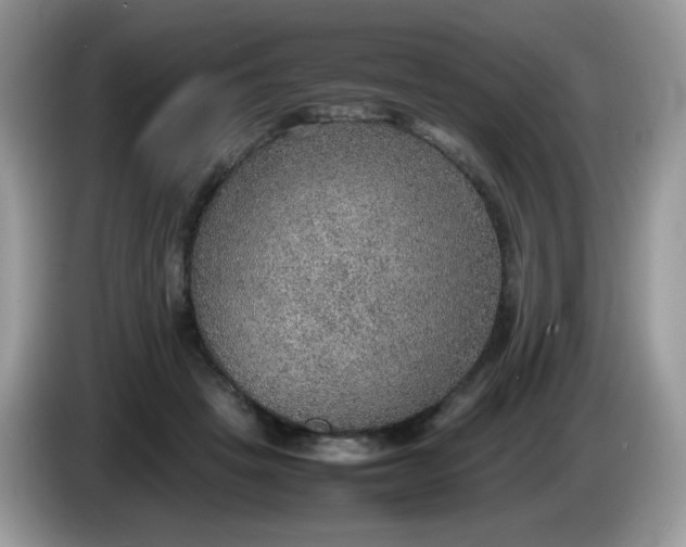 X0000086230457200704121918