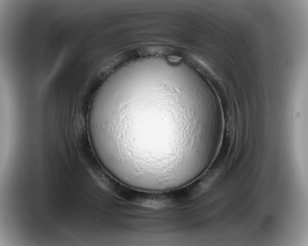 X0000086230459200704121918