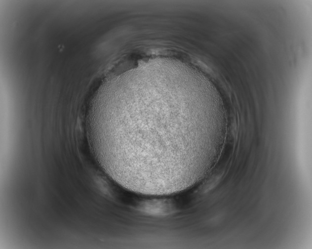 X0000086230461200704121918