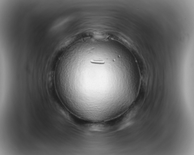 X0000086230462200704121918