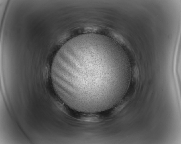 X0000086230463200704121918