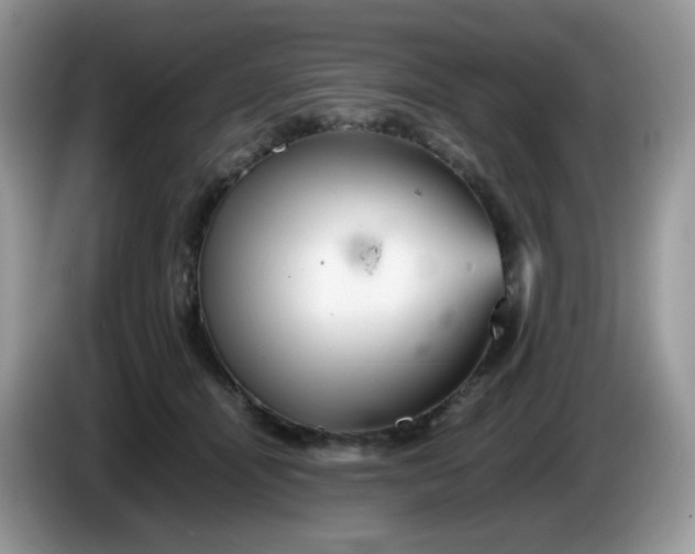 X0000086230464200704121918