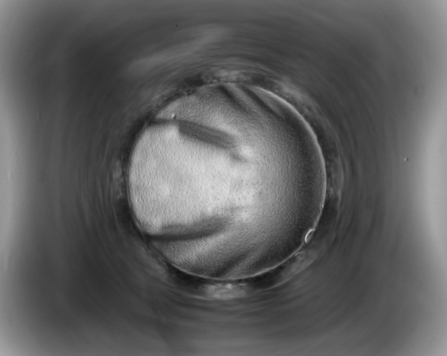 X0000086230465200704121918