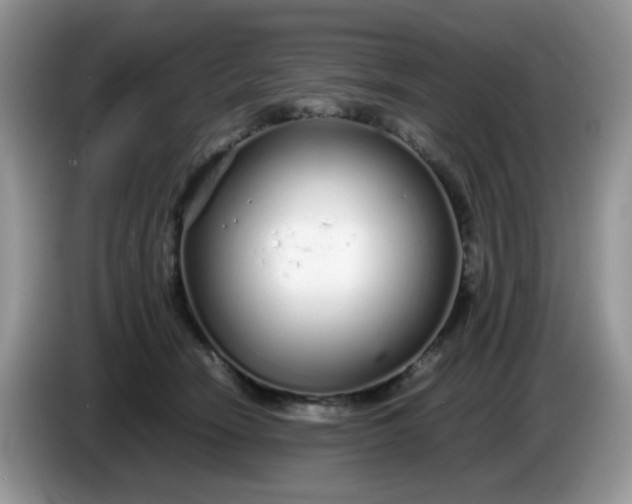 X0000086230466200704121918