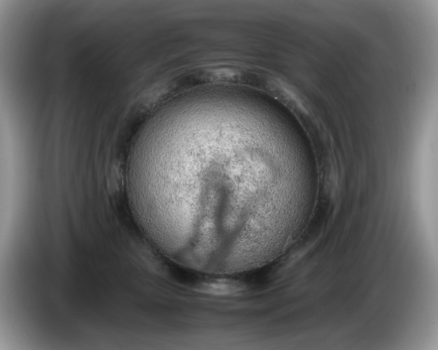 X0000086230467200704121918