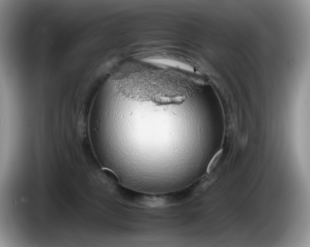 X0000086230469200704121918