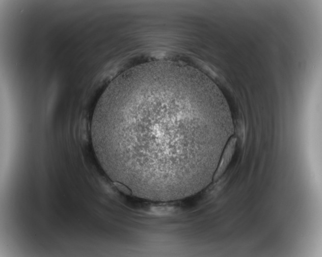 X0000086230470200704121918