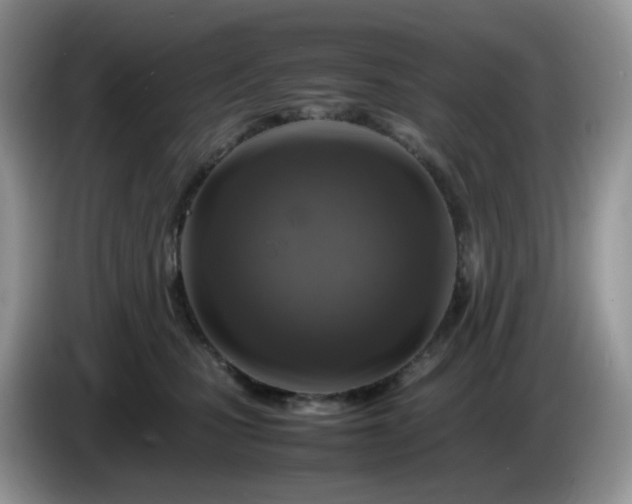 X0000086230471200704121918