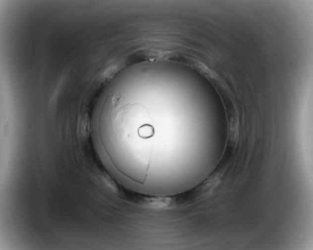 X0000086230474200704121918