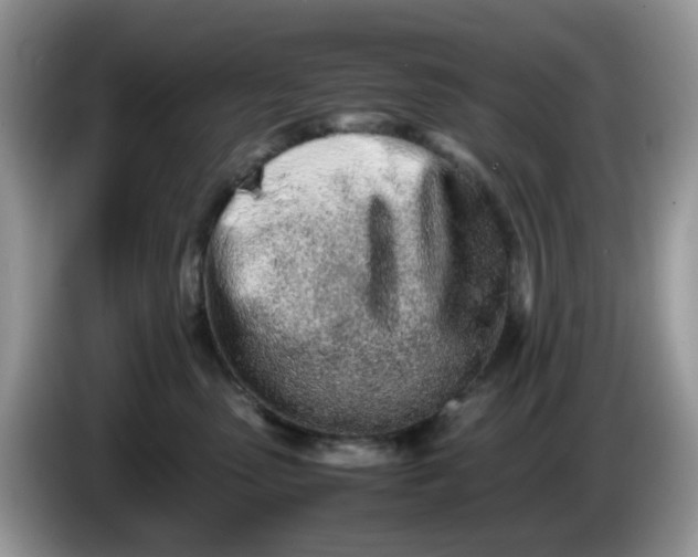 X0000086230475200704121918