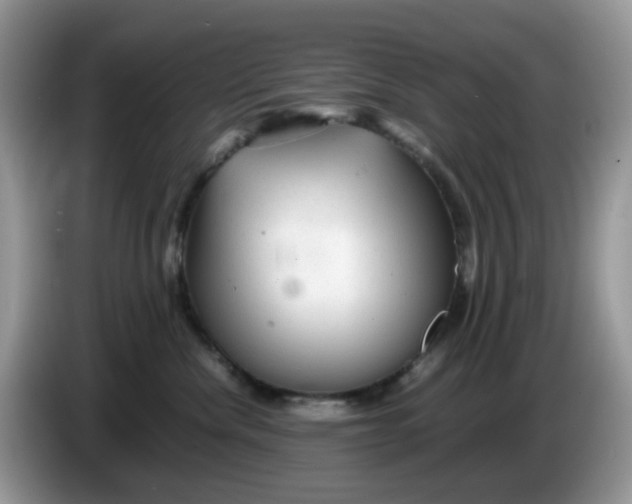 X0000086230476200704121919