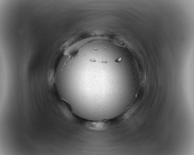 X0000086230478200704121919