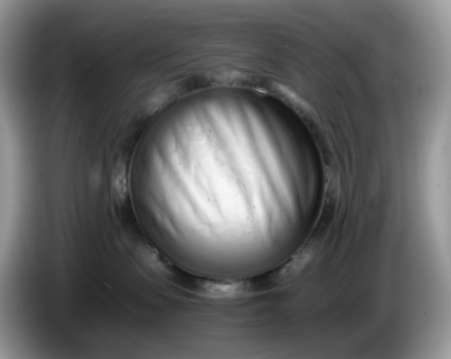 X0000086230479200704121919