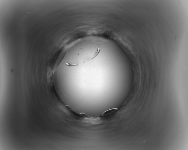 X0000086230480200704121919