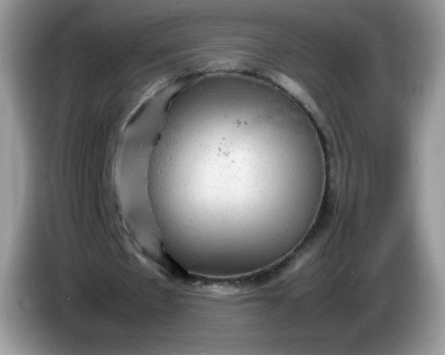 X0000086230481200704121918