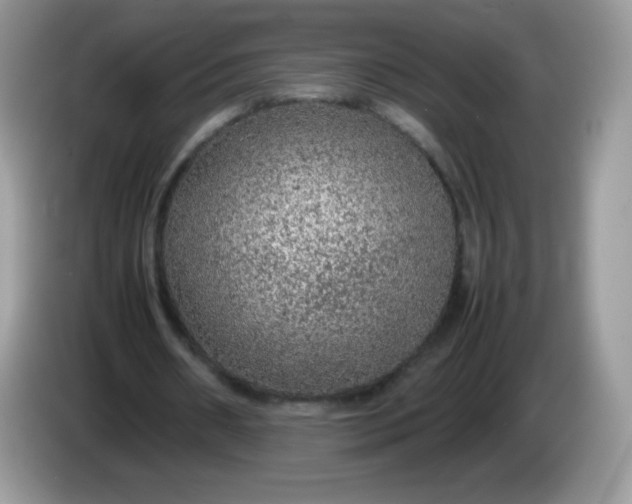 X0000086230482200704121918