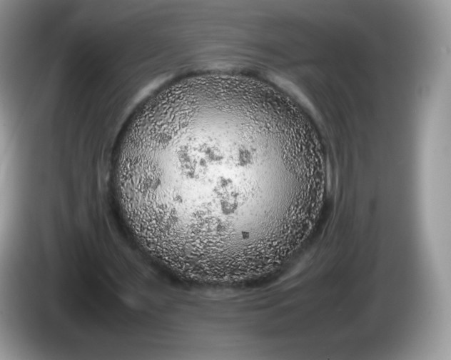 X0000086230483200704121918