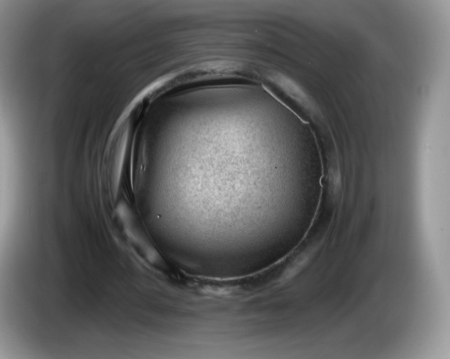 X0000086230484200704121918