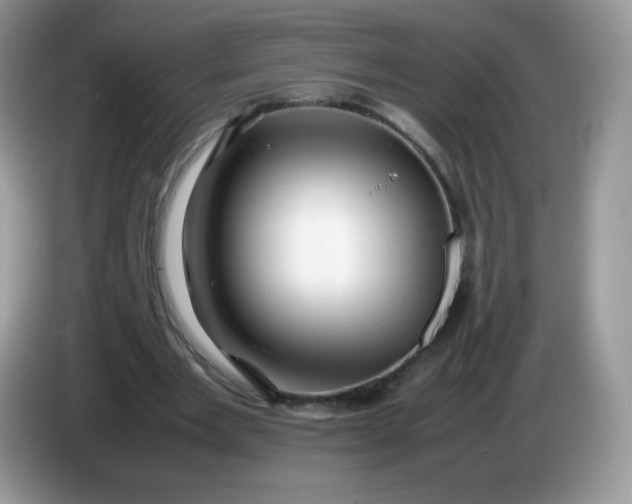 X0000086230485200704121918