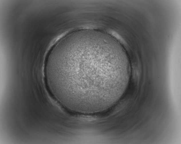 X0000086230486200704121918