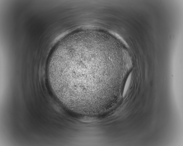 X0000086230487200704121918